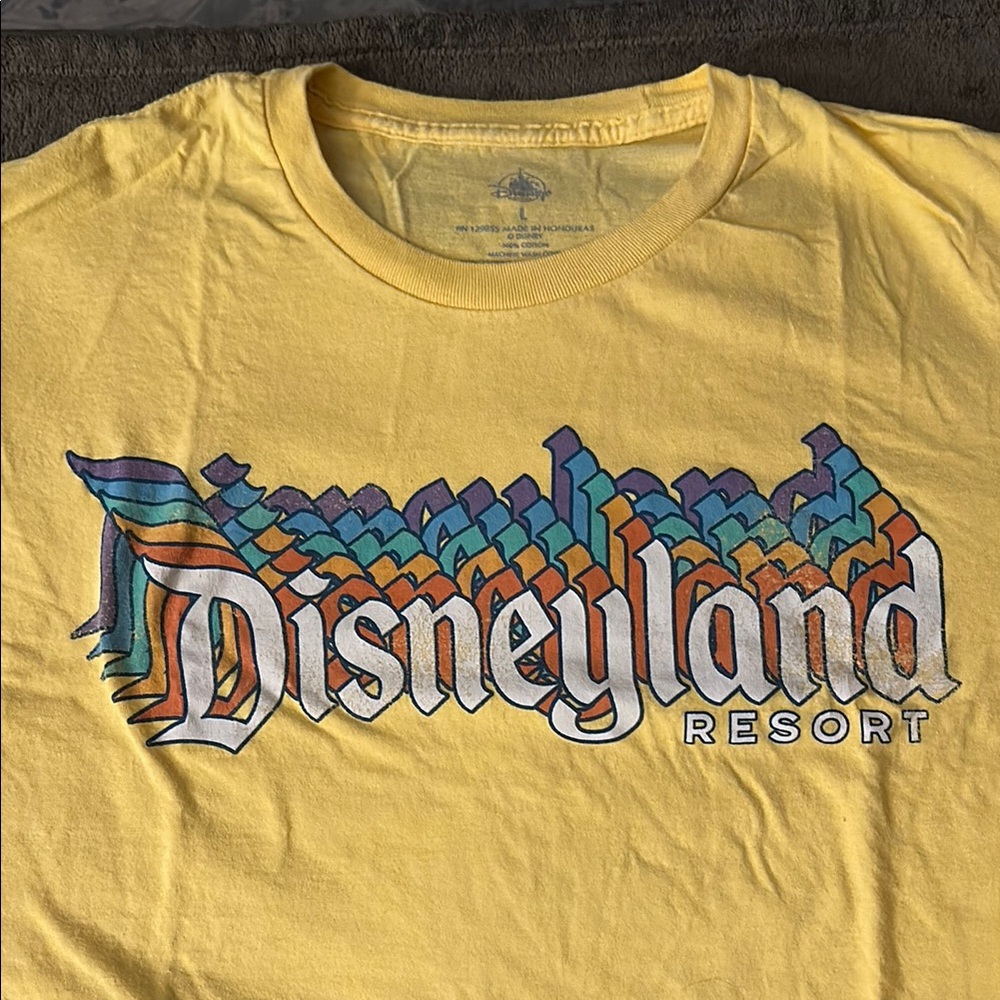 Disneyland Resort Tee